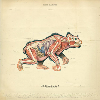 Album art of a primate-like creature's cross section, depicting its muscle and bone