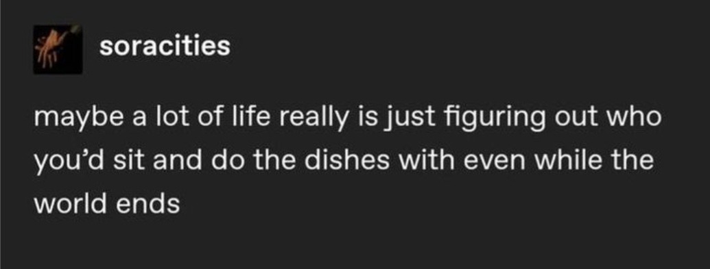 A tumblr post that reads: maybe a lot of life really is just figuring out who you'd sit and do the dishes with even while the world ends.