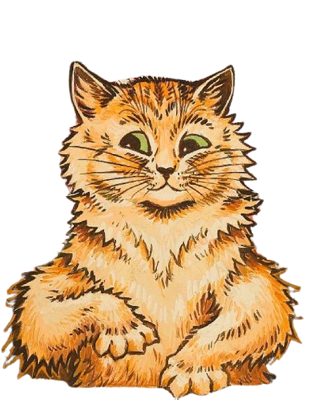 Smiling orange cat